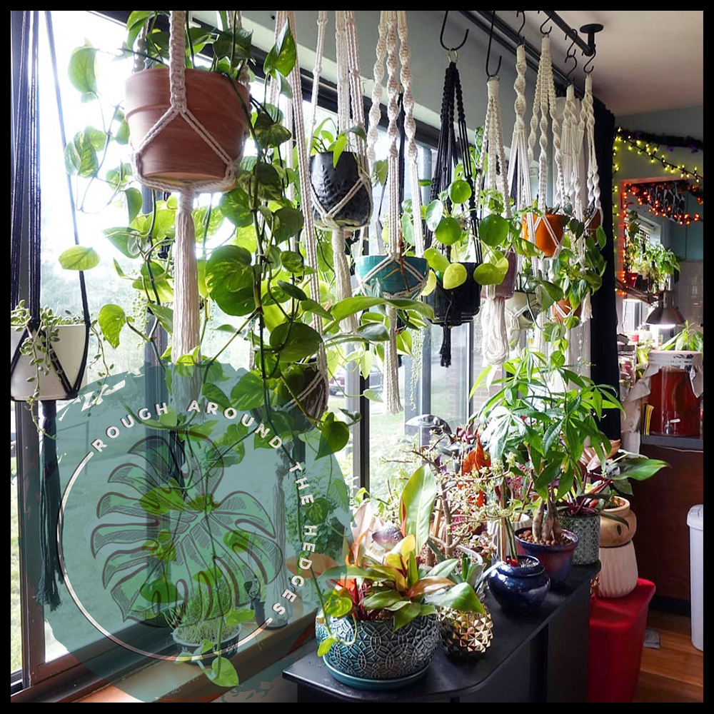 EP90-Making Room for More Plants